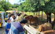 013_まいぱり熱帯果樹園
